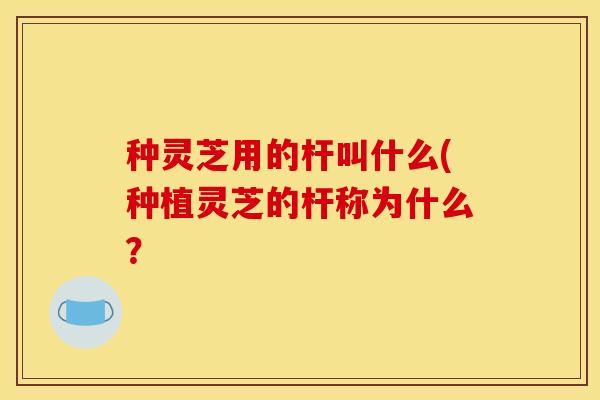 种灵芝用的杆叫什么(种植灵芝的杆称为什么？