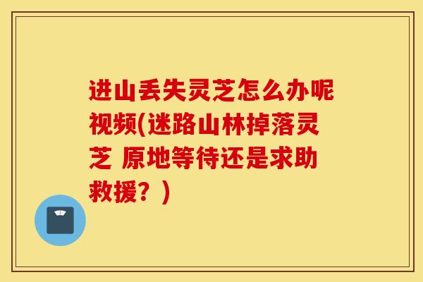 进山丢失灵芝怎么办呢视频(迷路山林掉落灵芝 原地等待还是求助救援？)