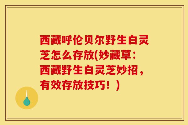 西藏呼伦贝尔野生白灵芝怎么存放(妙藏草：西藏野生白灵芝妙招，有效存放技巧！)