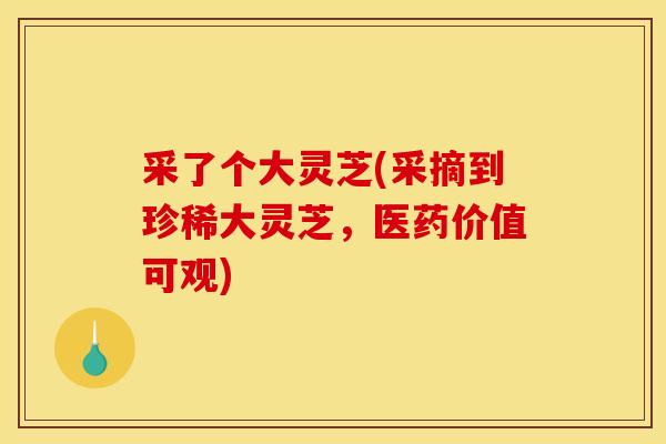 采了个大灵芝(采摘到珍稀大灵芝，医药价值可观)
