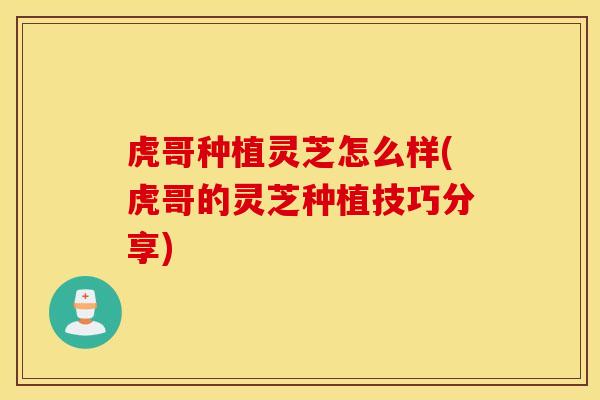 虎哥种植灵芝怎么样(虎哥的灵芝种植技巧分享)