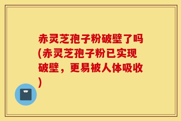 赤灵芝孢子粉破壁了吗(赤灵芝孢子粉已实现破壁，更易被人体吸收)