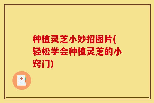 种植灵芝小妙招图片(轻松学会种植灵芝的小窍门)