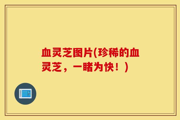 血灵芝图片(珍稀的血灵芝，一睹为快！)