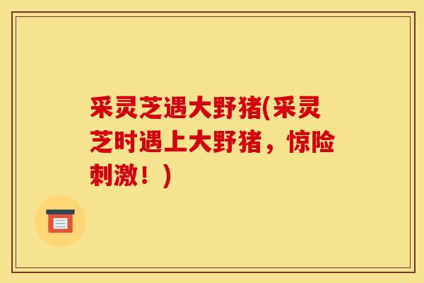 采灵芝遇大野猪(采灵芝时遇上大野猪，惊险刺激！)