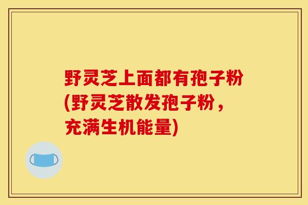 野灵芝上面都有孢子粉(野灵芝散发孢子粉，充满生机能量)