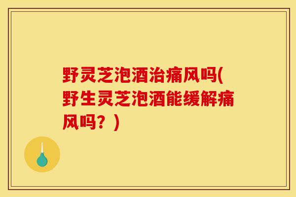 野灵芝泡酒治痛风吗(野生灵芝泡酒能缓解痛风吗？)