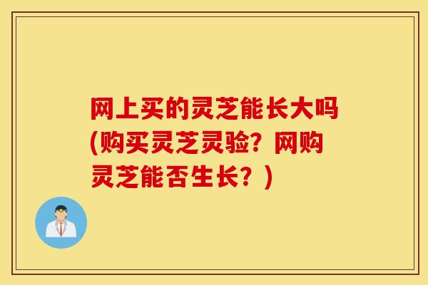 网上买的灵芝能长大吗(购买灵芝灵验？网购灵芝能否生长？)