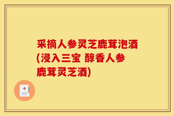采摘人参灵芝鹿茸泡酒(浸入三宝 醇香人参鹿茸灵芝酒)