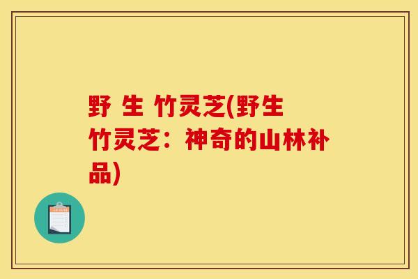 野 生 竹灵芝(野生竹灵芝：神奇的山林补品)