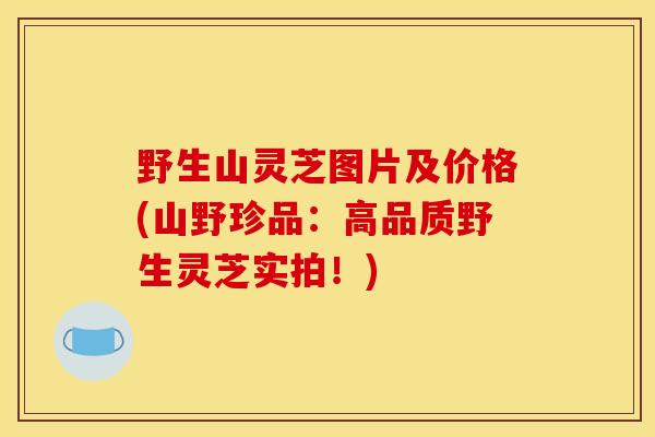 野生山灵芝图片及价格(山野珍品：高品质野生灵芝实拍！)