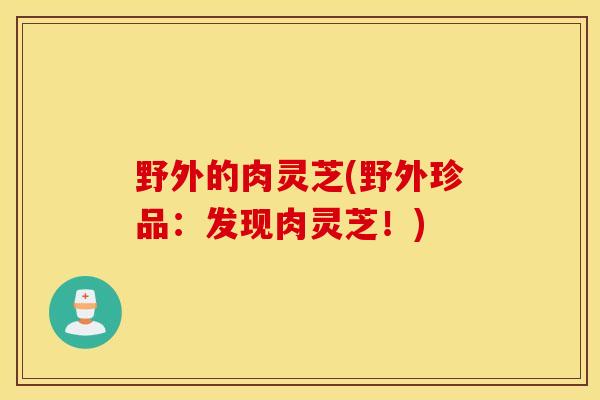 野外的肉灵芝(野外珍品：发现肉灵芝！)