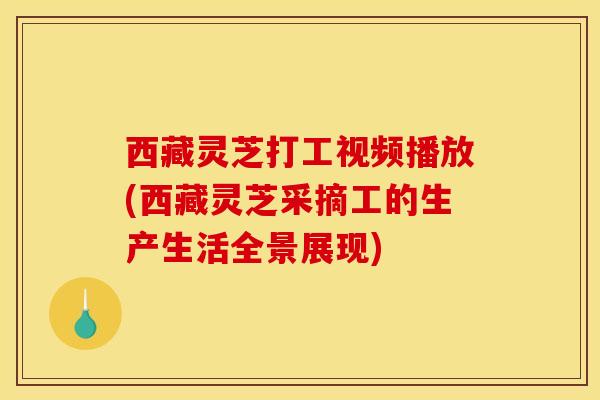 西藏灵芝打工视频播放(西藏灵芝采摘工的生产生活全景展现)