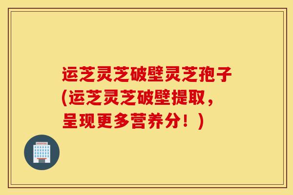 运芝灵芝破壁灵芝孢子(运芝灵芝破壁提取，呈现更多营养分！)