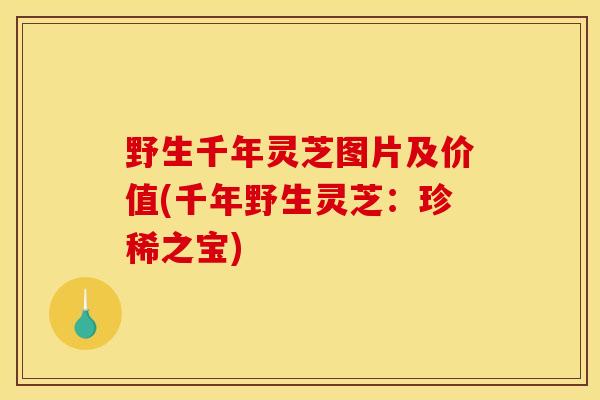 野生千年灵芝图片及价值(千年野生灵芝：珍稀之宝)