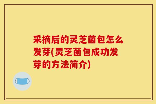 采摘后的灵芝菌包怎么发芽(灵芝菌包成功发芽的方法简介)
