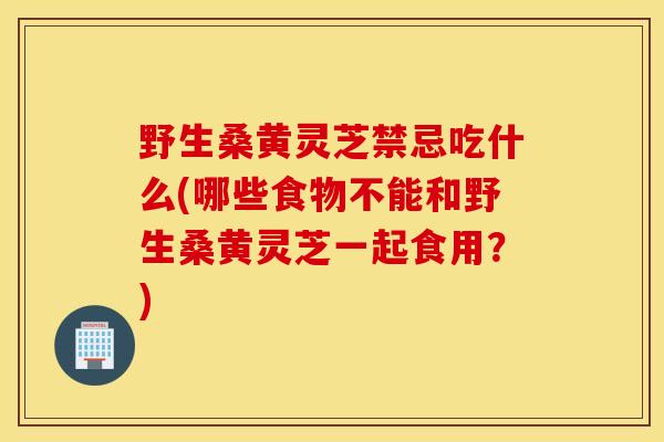 野生桑黄灵芝禁忌吃什么(哪些食物不能和野生桑黄灵芝一起食用？)