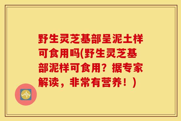野生灵芝基部呈泥土样可食用吗(野生灵芝基部泥样可食用？据专家解读，非常有营养！)