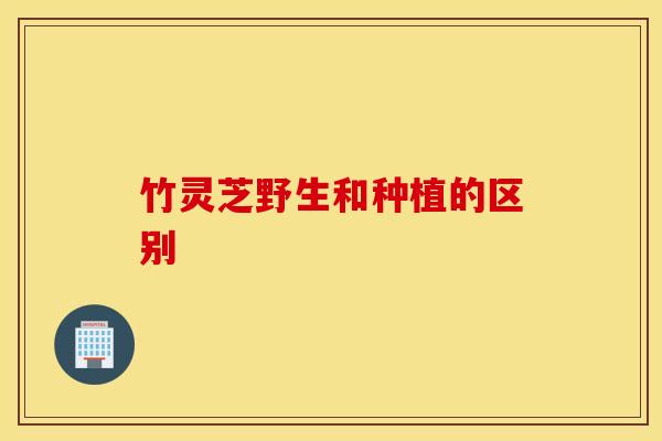 竹灵芝野生和种植的区别