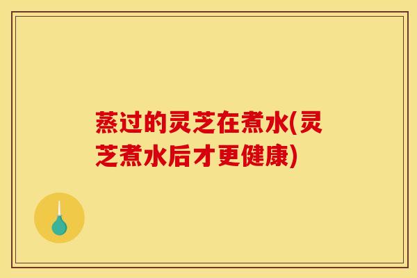 蒸过的灵芝在煮水(灵芝煮水后才更健康)