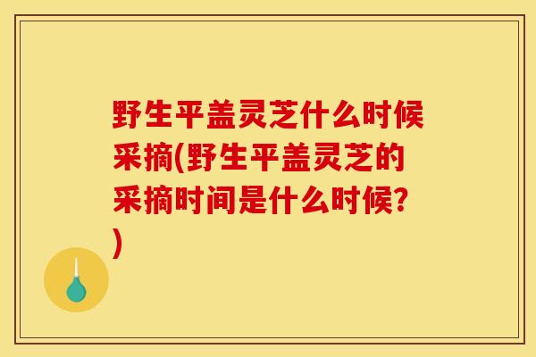 野生平盖灵芝什么时候采摘(野生平盖灵芝的采摘时间是什么时候？)