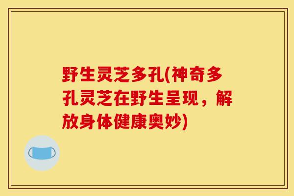 野生灵芝多孔(神奇多孔灵芝在野生呈现，解放身体健康奥妙)