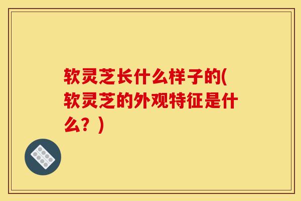 软灵芝长什么样子的(软灵芝的外观特征是什么？)