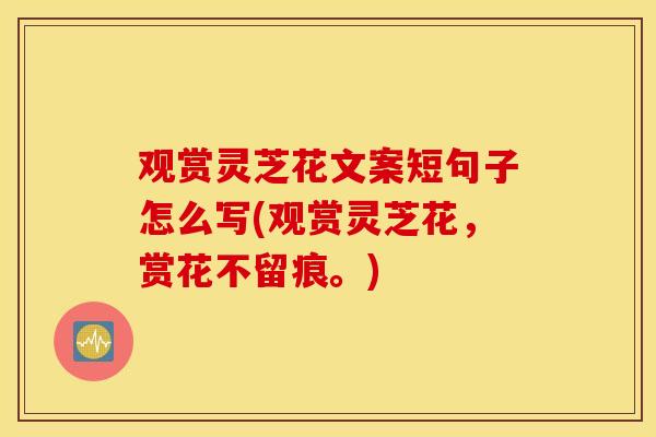 观赏灵芝花文案短句子怎么写(观赏灵芝花，赏花不留痕。)