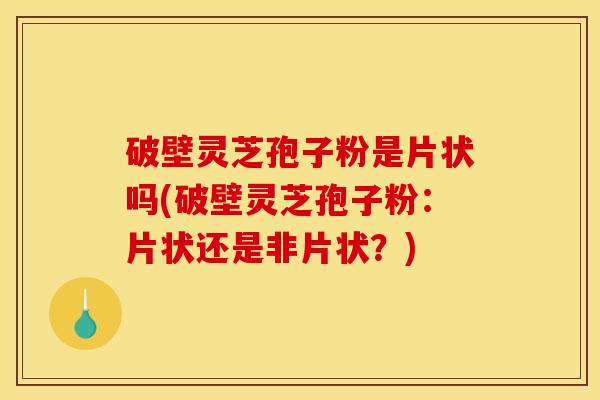 破壁灵芝孢子粉是片状吗(破壁灵芝孢子粉：片状还是非片状？)