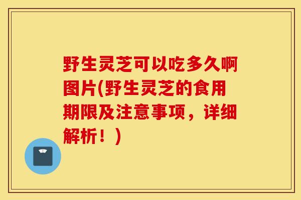 野生灵芝可以吃多久啊图片(野生灵芝的食用期限及注意事项，详细解析！)