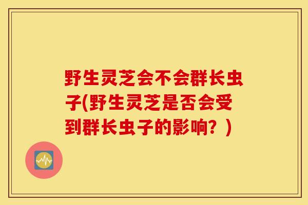 野生灵芝会不会群长虫子(野生灵芝是否会受到群长虫子的影响？)