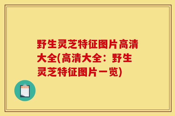 野生灵芝特征图片高清大全(高清大全：野生灵芝特征图片一览)