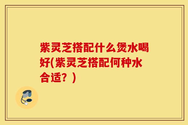 紫灵芝搭配什么煲水喝好(紫灵芝搭配何种水合适？)