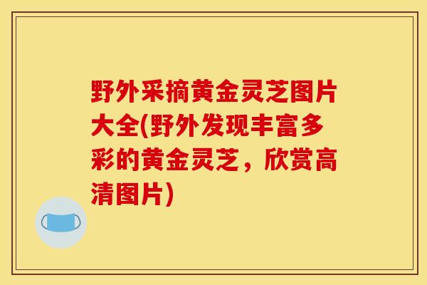野外采摘黄金灵芝图片大全(野外发现丰富多彩的黄金灵芝，欣赏高清图片)