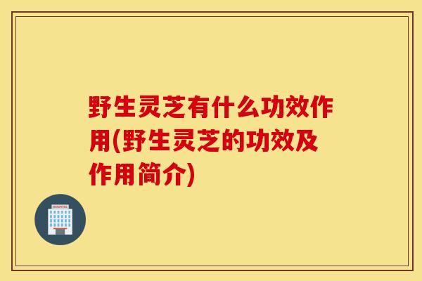 野生灵芝有什么功效作用(野生灵芝的功效及作用简介)