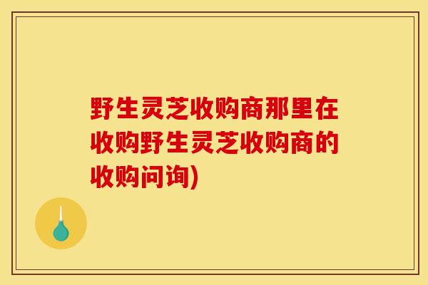 野生灵芝收购商那里在收购野生灵芝收购商的收购问询)