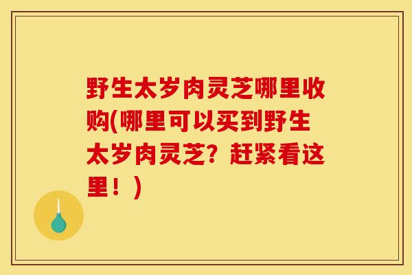 野生太岁肉灵芝哪里收购(哪里可以买到野生太岁肉灵芝？赶紧看这里！)