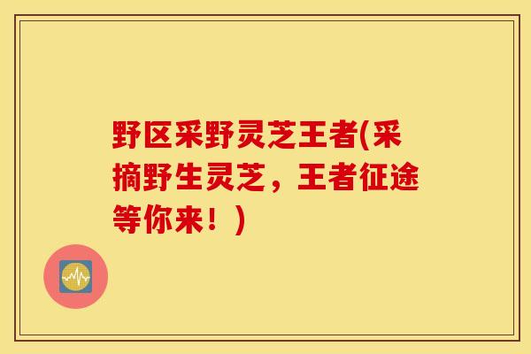 野区采野灵芝王者(采摘野生灵芝，王者征途等你来！)