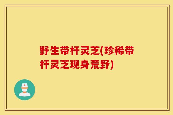 野生带杆灵芝(珍稀带杆灵芝现身荒野)