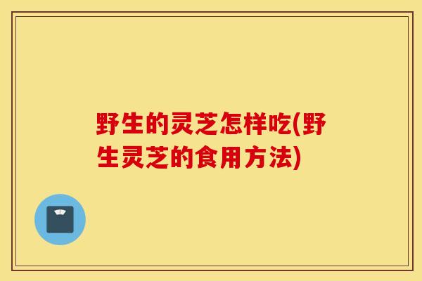 野生的灵芝怎样吃(野生灵芝的食用方法)
