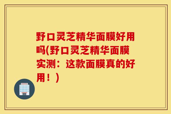 野口灵芝精华面膜好用吗(野口灵芝精华面膜实测：这款面膜真的好用！)