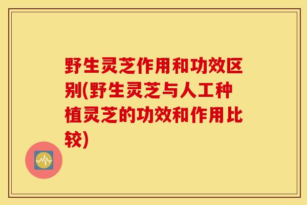 野生灵芝作用和功效区别(野生灵芝与人工种植灵芝的功效和作用比较)
