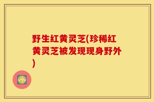 野生红黄灵芝(珍稀红黄灵芝被发现现身野外)