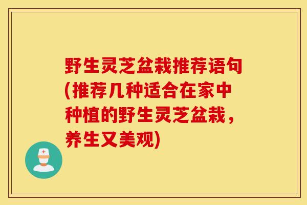 野生灵芝盆栽推荐语句(推荐几种适合在家中种植的野生灵芝盆栽，养生又美观)