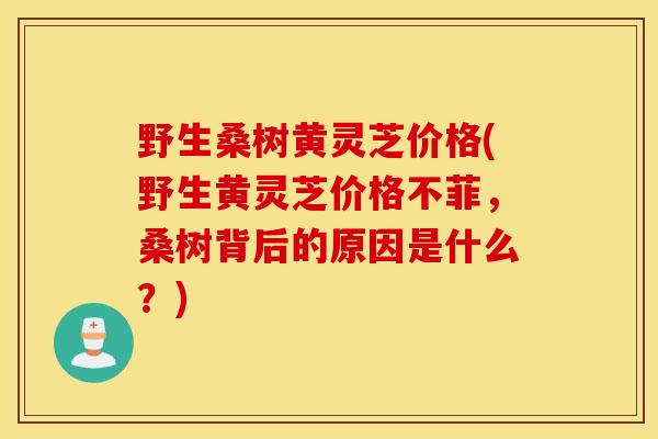 野生桑树黄灵芝价格(野生黄灵芝价格不菲，桑树背后的原因是什么？)