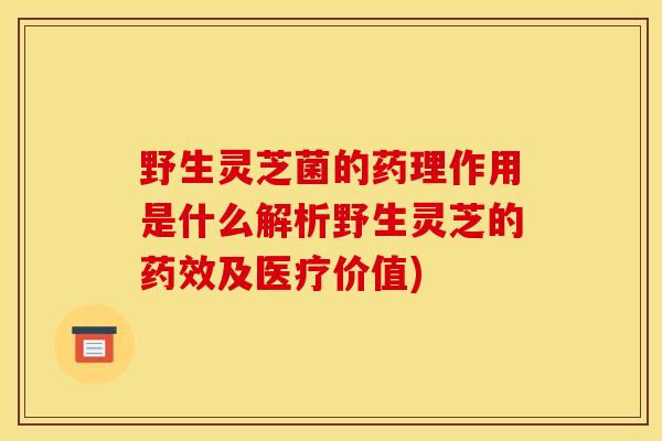 野生灵芝菌的药理作用是什么解析野生灵芝的药效及医疗价值)