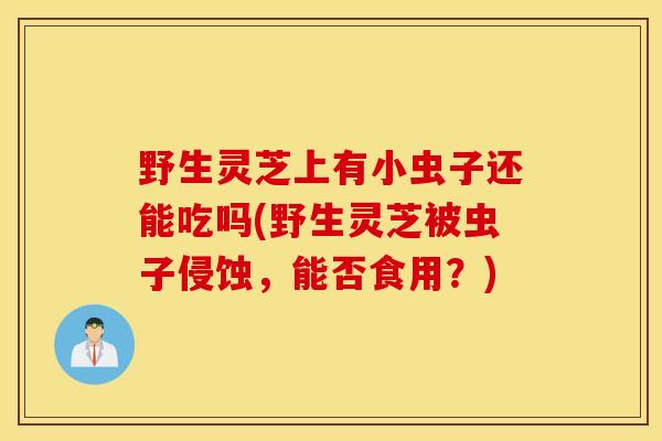 野生灵芝上有小虫子还能吃吗(野生灵芝被虫子侵蚀，能否食用？)