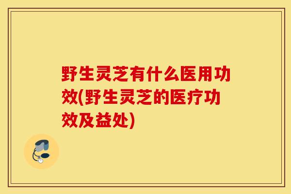 野生灵芝有什么医用功效(野生灵芝的医疗功效及益处)