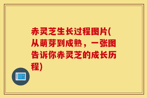 赤灵芝生长过程图片(从萌芽到成熟，一张图告诉你赤灵芝的成长历程)