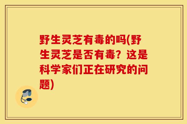 野生灵芝有毒的吗(野生灵芝是否有毒？这是科学家们正在研究的问题)